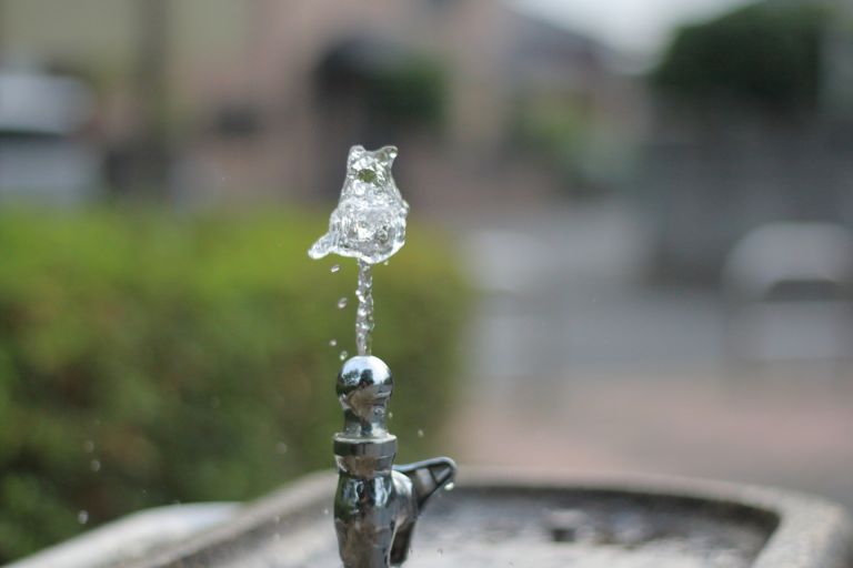 驚きの真実日本の水道水浄水器がもたらす健康革命と節約術